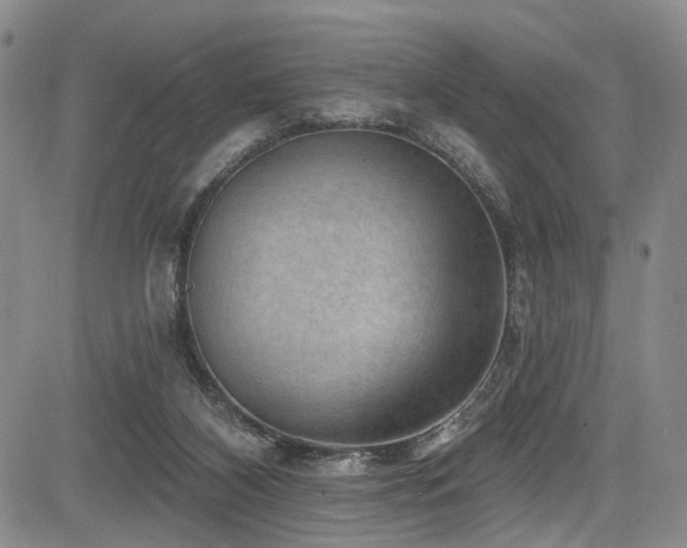 X0000084050116200702161517