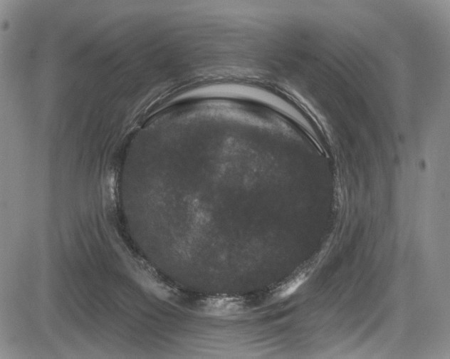 X0000084050117200702161517