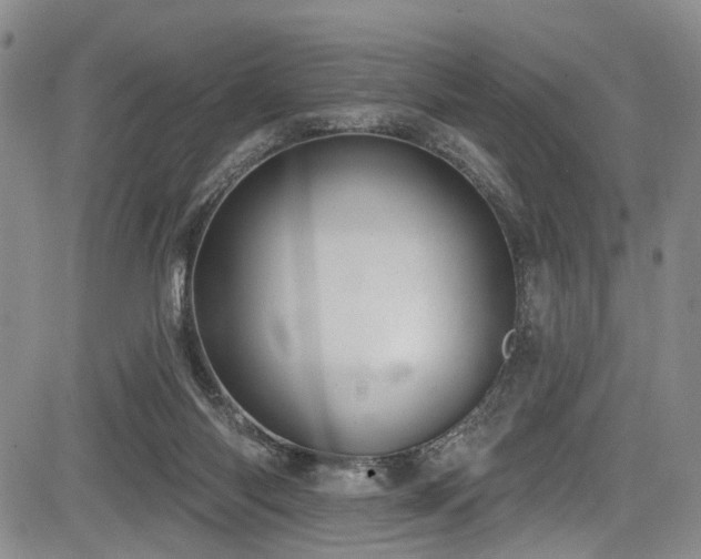 X0000084050118200702161517