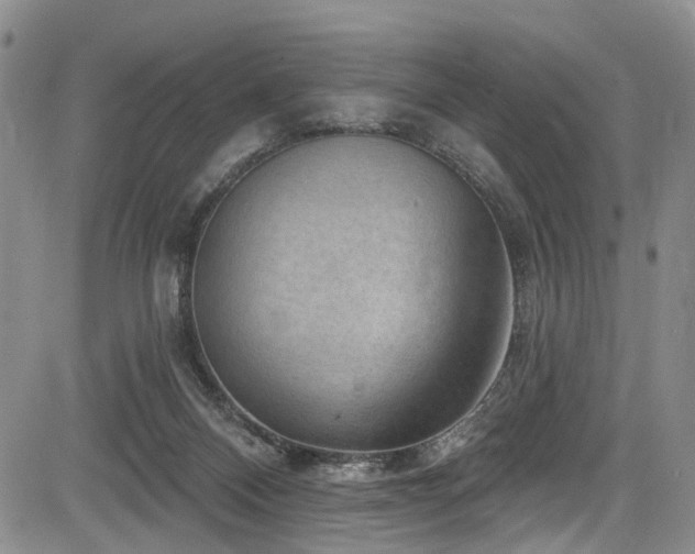 X0000084050120200702161517