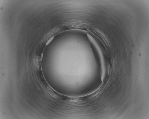 X0000084050121200702161516