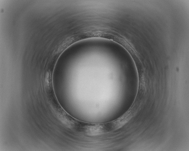 X0000084050122200702161516