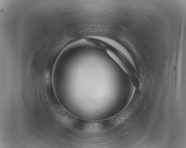 X0000084050123200702161516