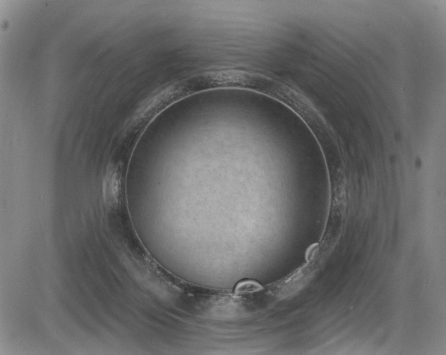 X0000084050124200702161516