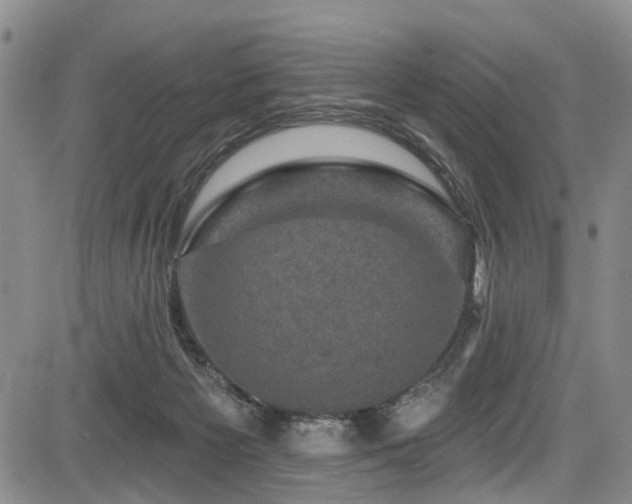 X0000084050125200702161516