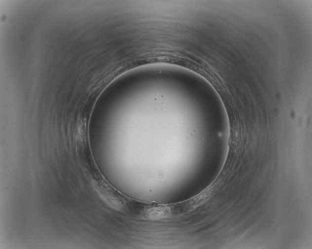 X0000084050126200702161516