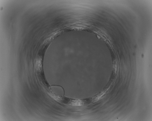 X0000084050127200702161516