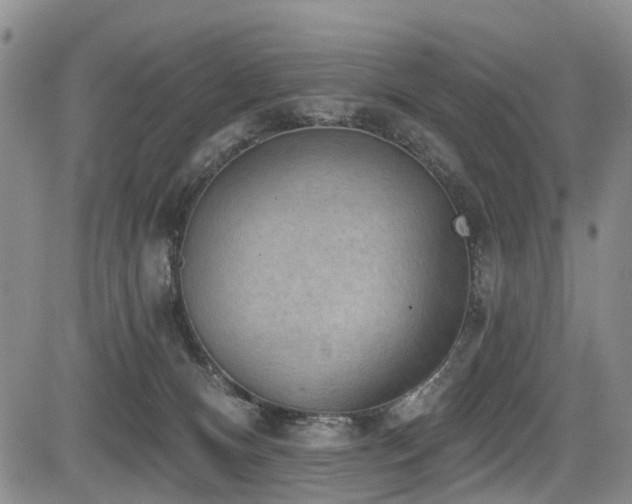 X0000084050128200702161516