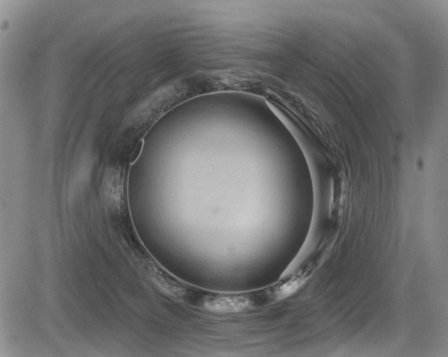 X0000084050129200702161516