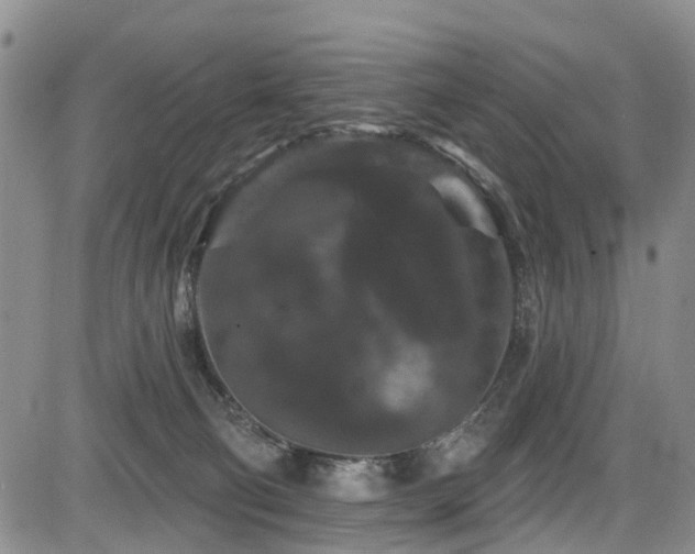 X0000084050130200702161516