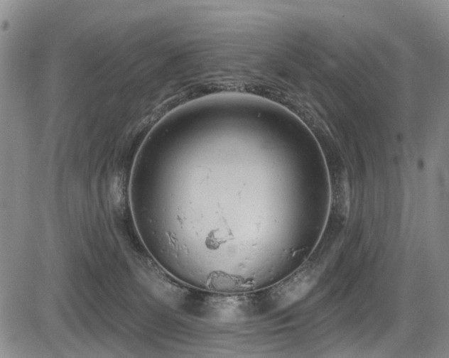 X0000084050131200702161516