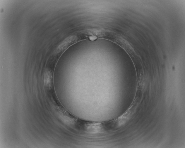 X0000084050132200702161516