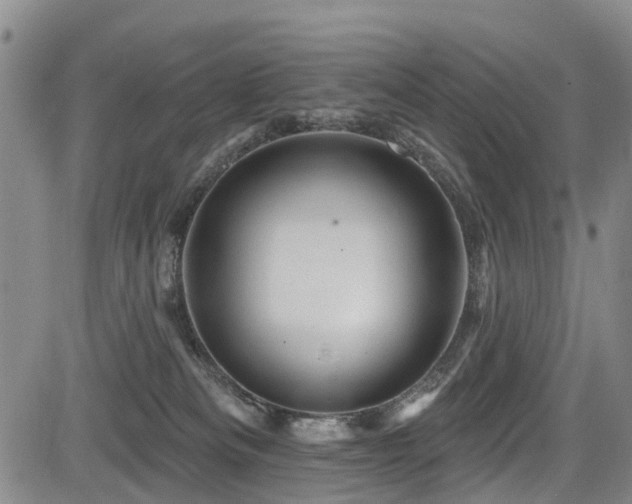 X0000084050133200702161516