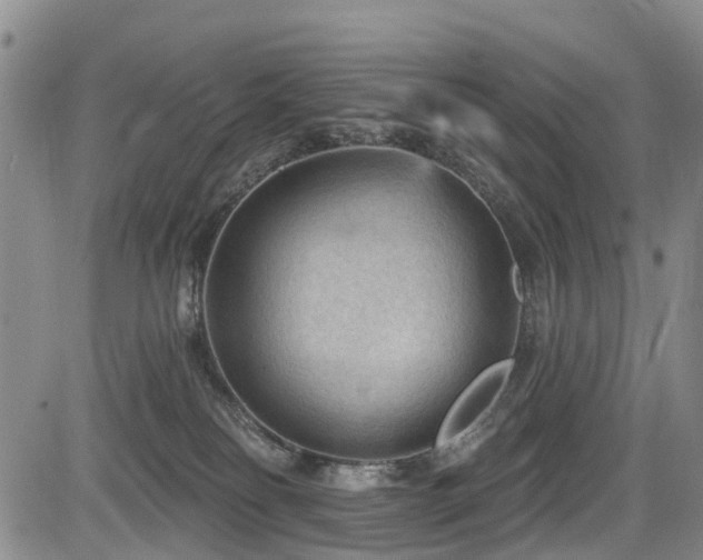 X0000084050134200702161516