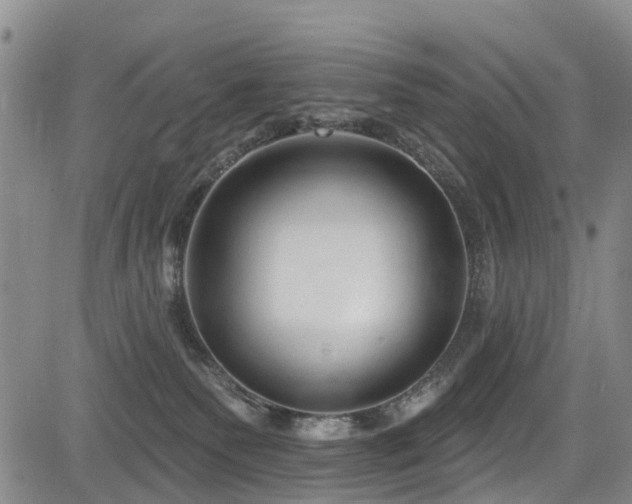 X0000084050135200702161516