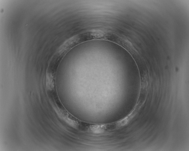 X0000084050136200702161516