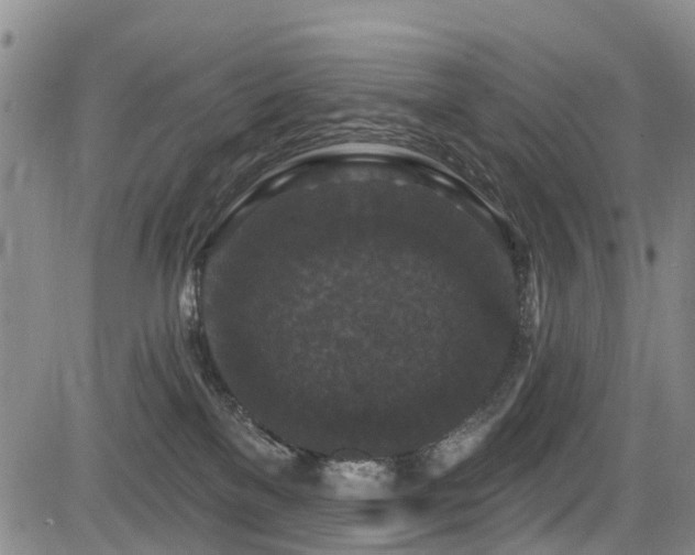 X0000084050137200702161516