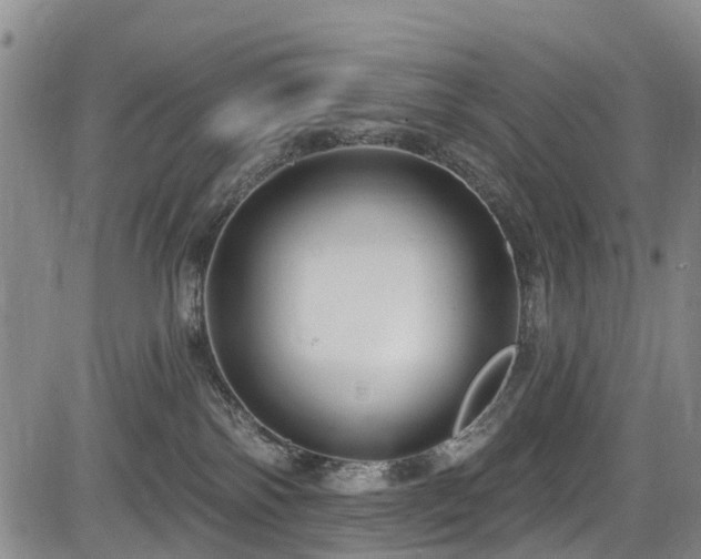 X0000084050138200702161516