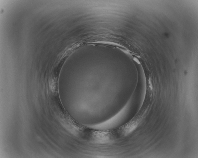 X0000084050139200702161516