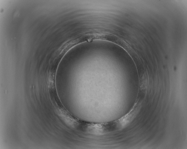 X0000084050140200702161516