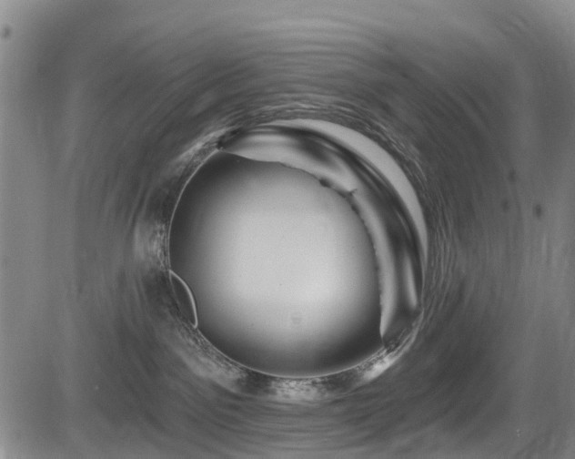 X0000084050141200702161516