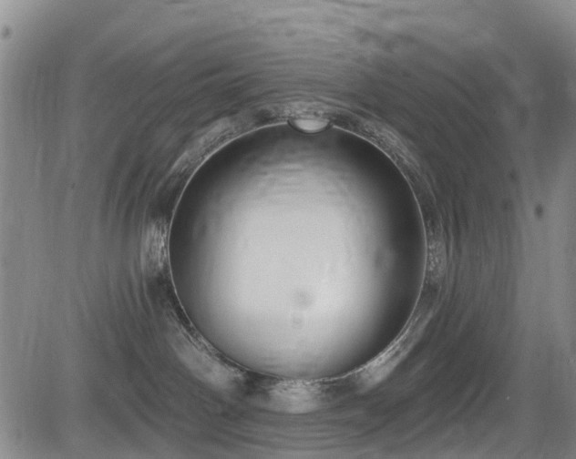 X0000084050142200702161516