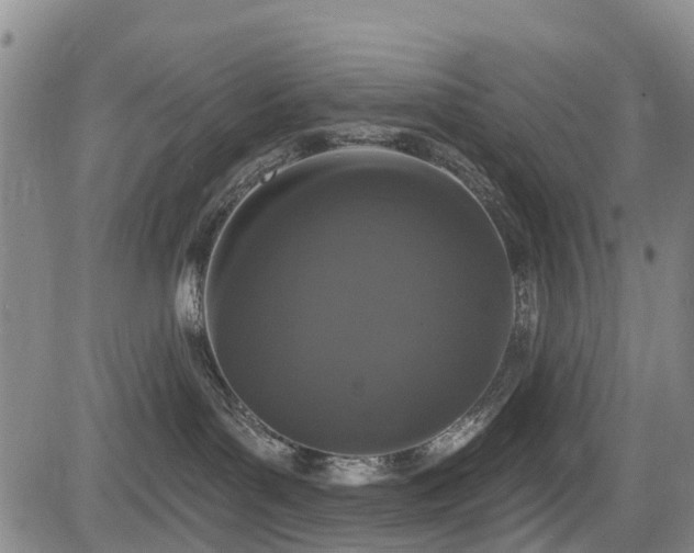 X0000084050143200702161516