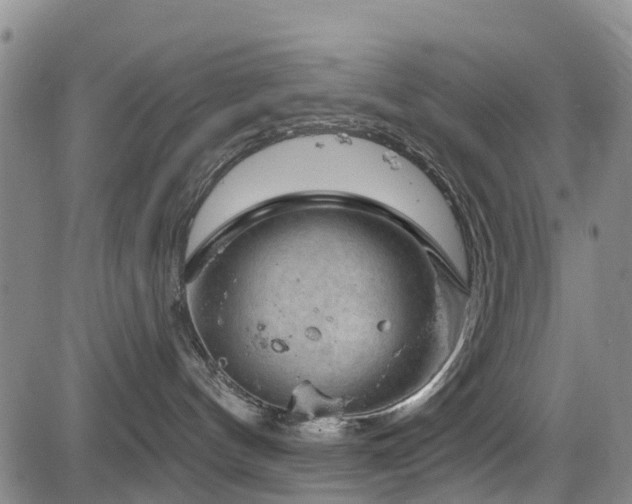 X0000084050144200702161516