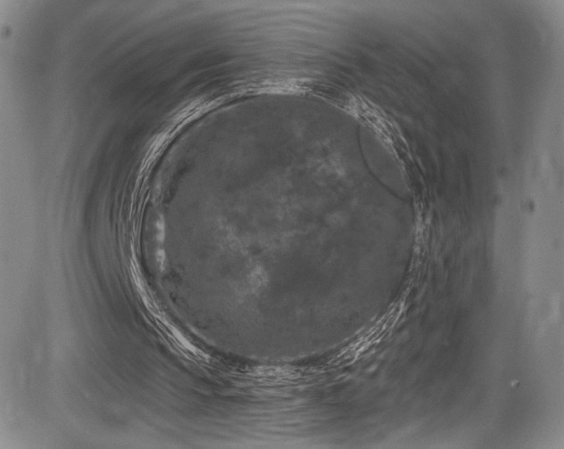 X0000084050145200702161515