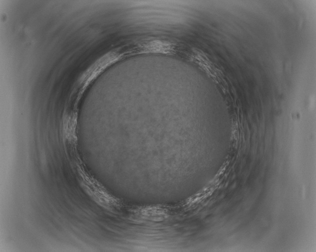 X0000084050146200702161515