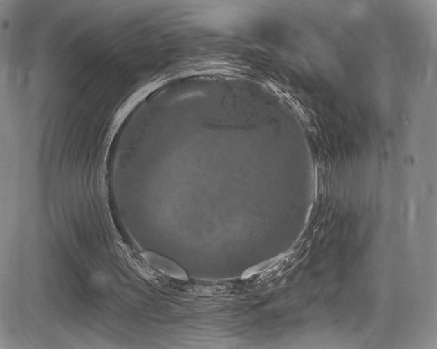 X0000084050147200702161515