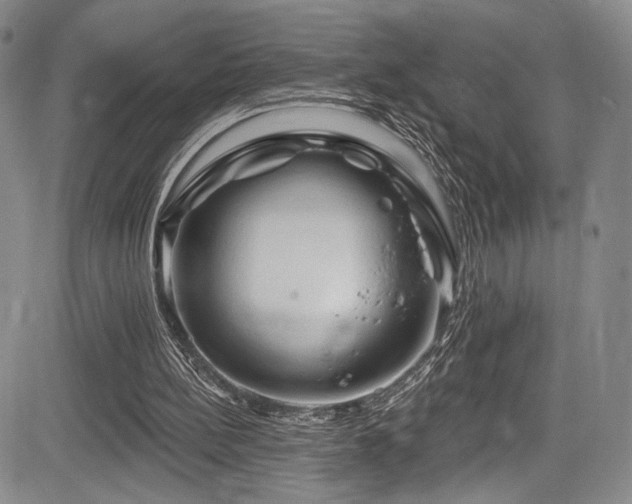 X0000084050148200702161515