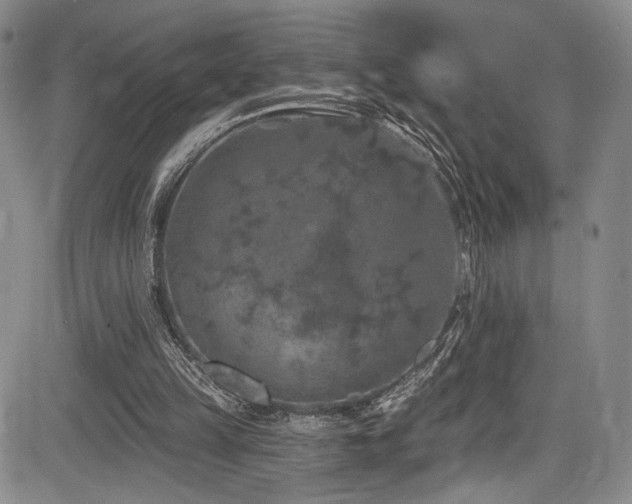 X0000084050149200702161515