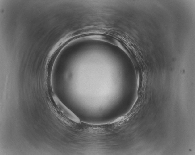 X0000084050150200702161515