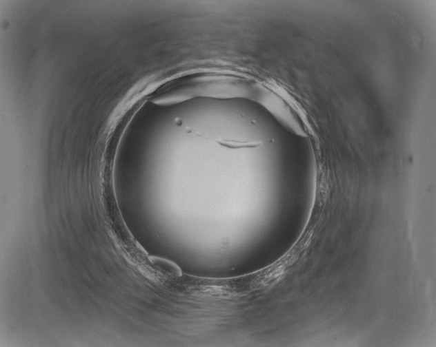 X0000084050151200702161515