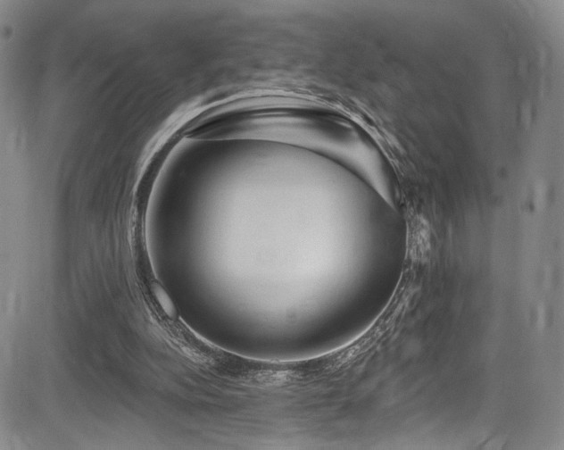 X0000084050152200702161515