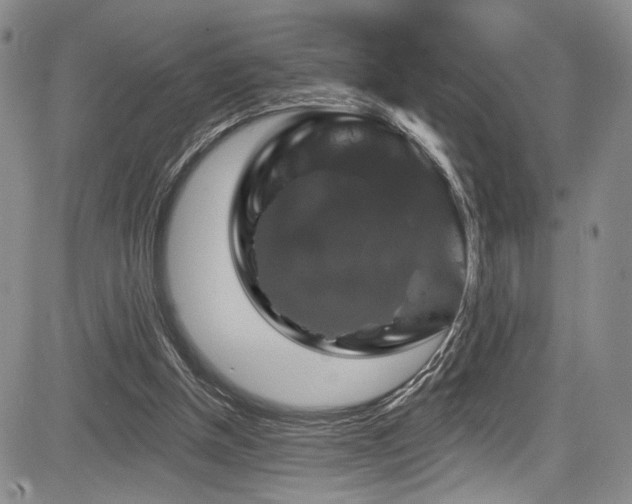 X0000084050154200702161515