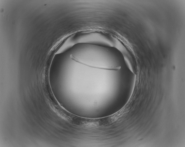 X0000084050155200702161515