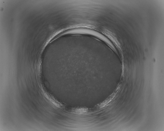 X0000084050156200702161516