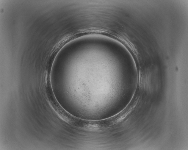 X0000084050157200702161516