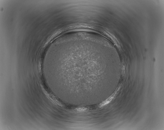 X0000084050158200702161516