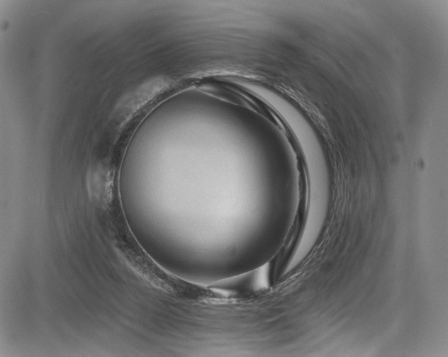 X0000084050160200702161516