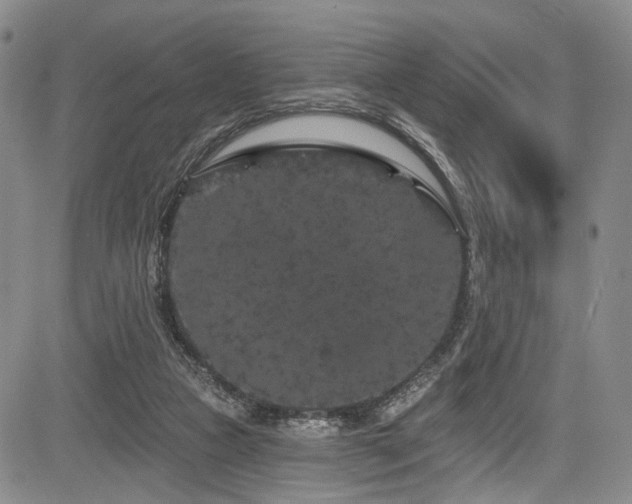 X0000084050161200702161516