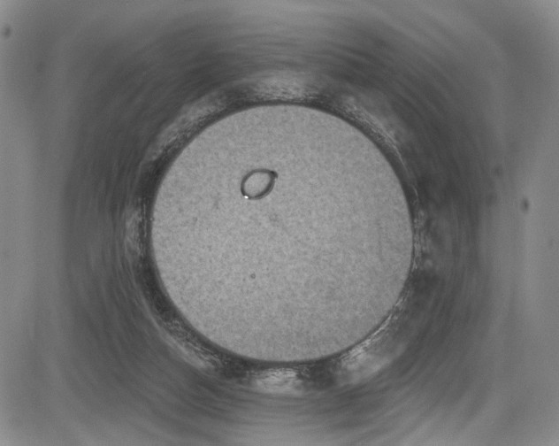 X0000084050162200702161516