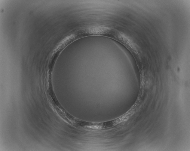 X0000084050163200702161516