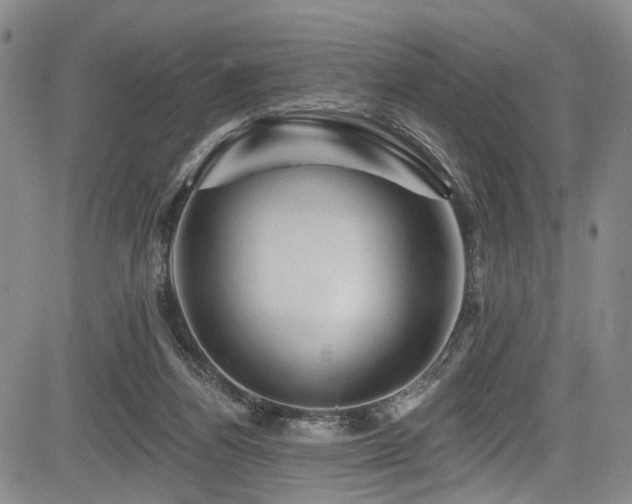 X0000084050164200702161516