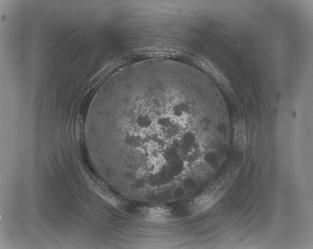 X0000084050165200702161516