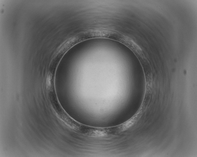 X0000084050166200702161516