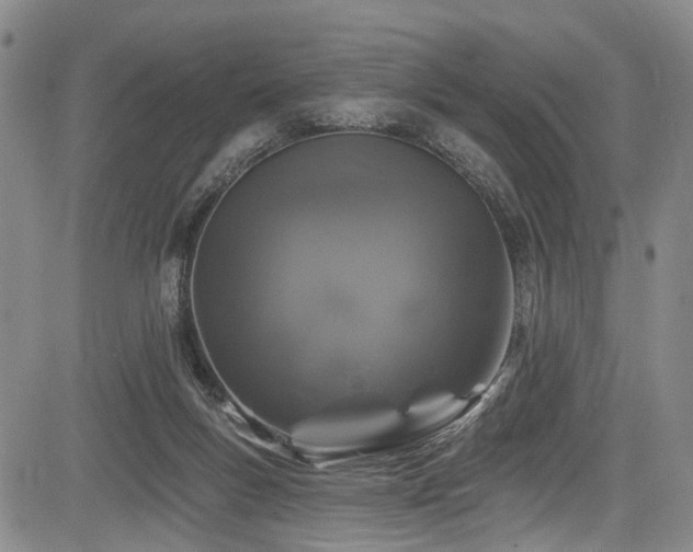 X0000084050167200702161516