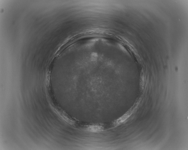 X0000084050168200702161516